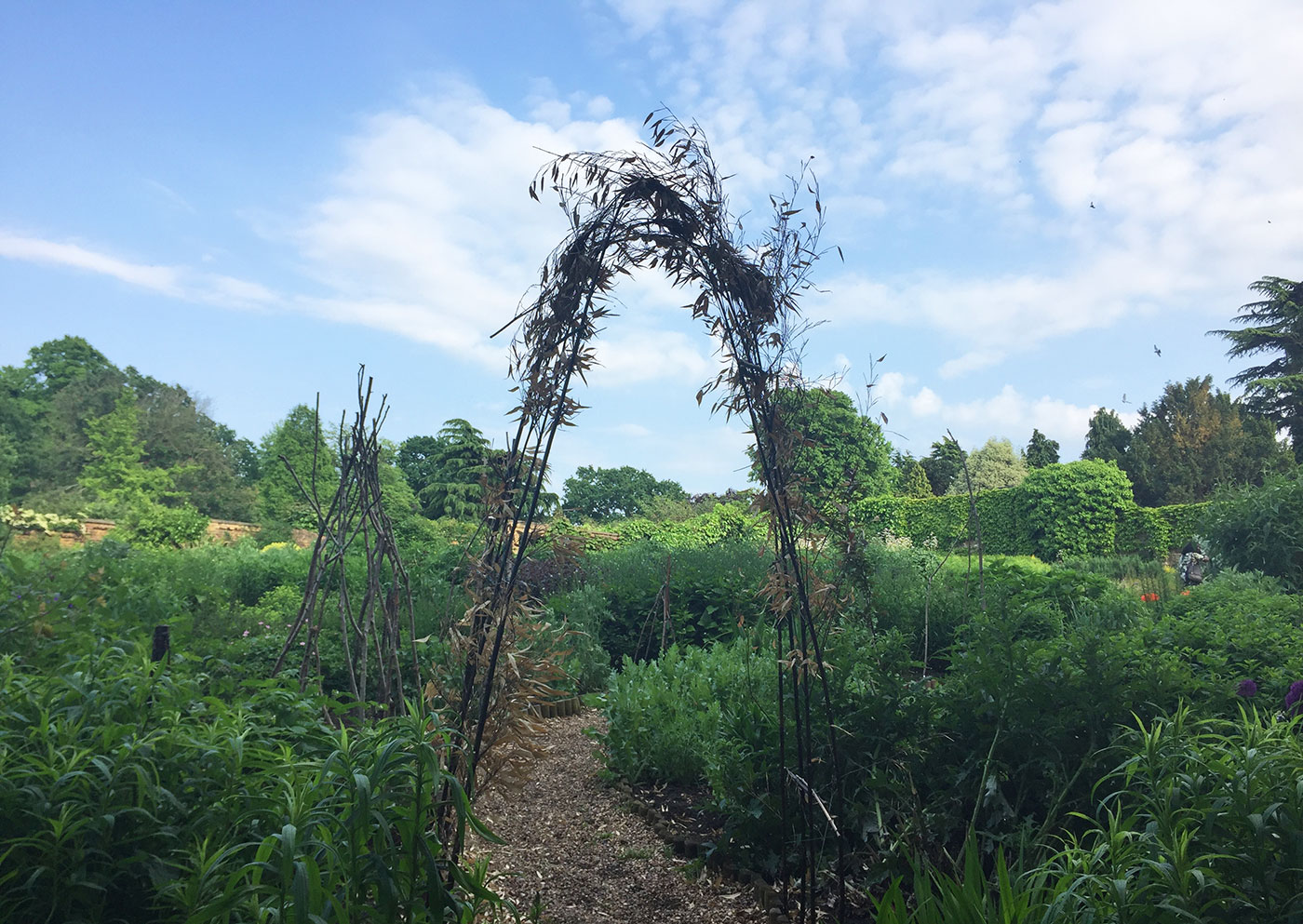 Community garden, Park Hill, Croydon