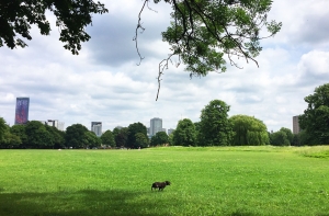 Wandle Park