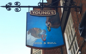 Dog & Bull, Croydon
