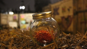 Croydon Saffron Central