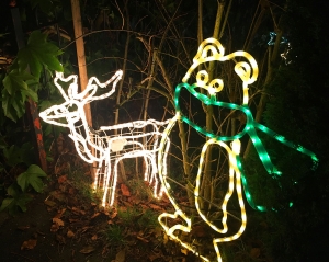 Croydonist Christmas lights competition