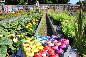 Chasing rainbows installation
