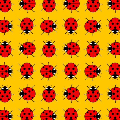 The Ladybird busy bee