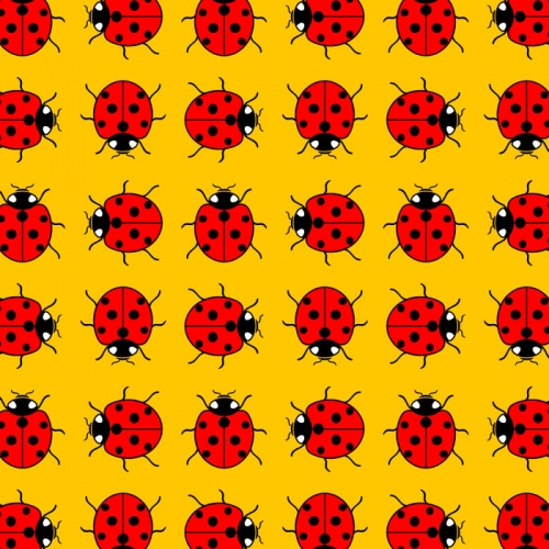 The Ladybird busy bee