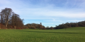 Lloyd park