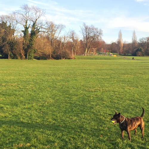 Four seasons of Parklife