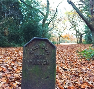 Croham Hurst