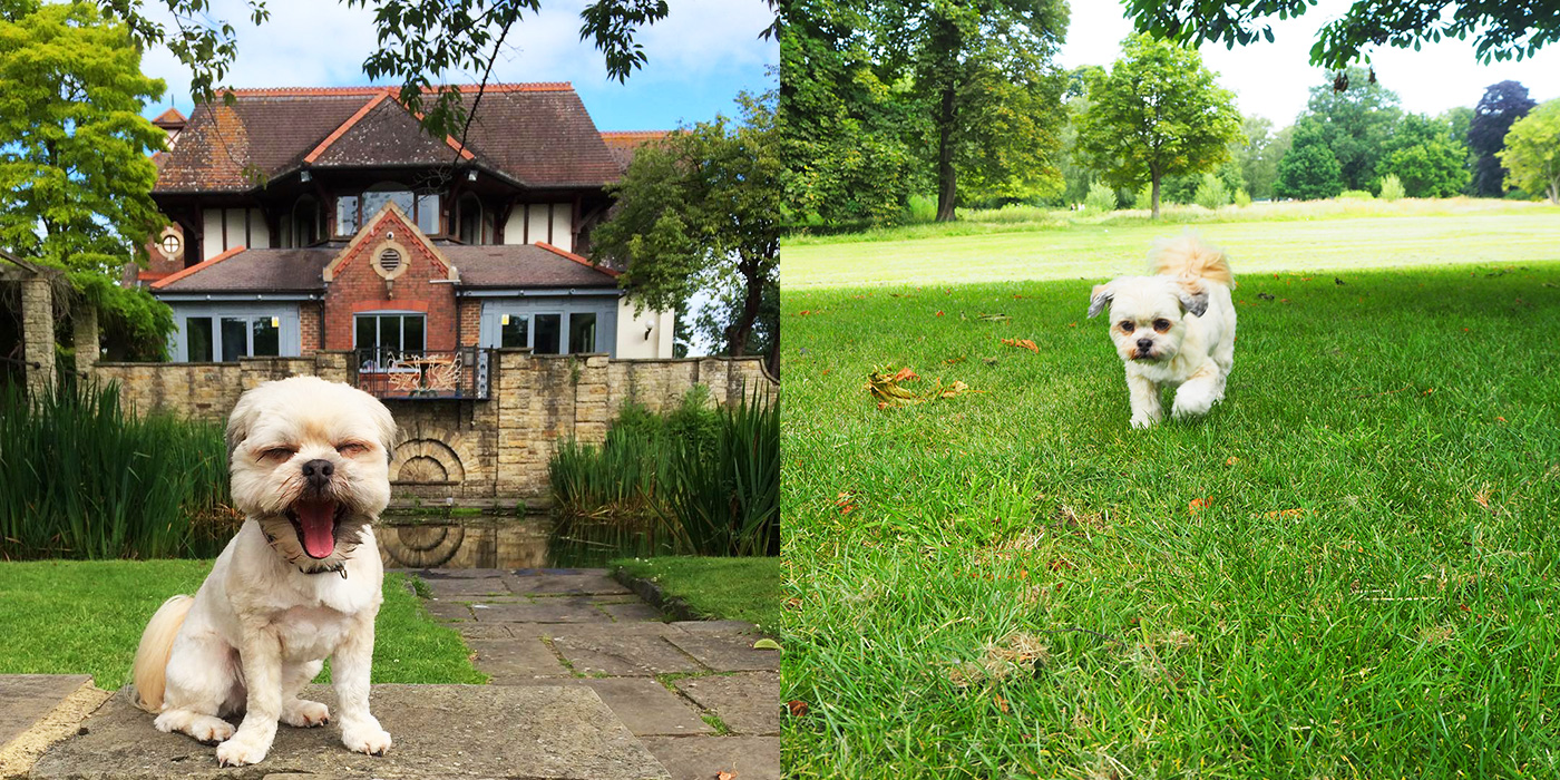 Beddington Park