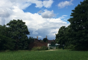Beddington Park