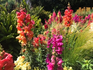 Coombe Wood