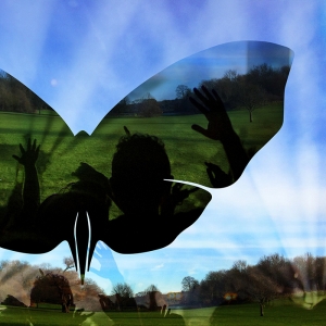 Butterfly Effect Festival