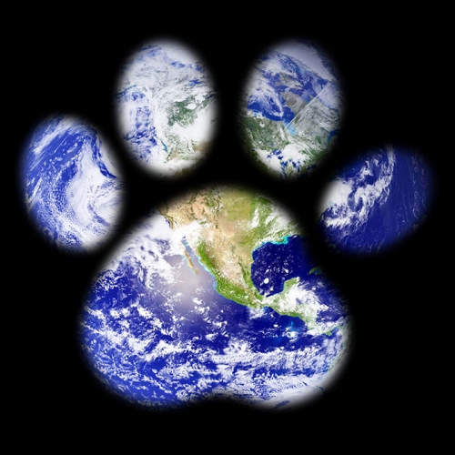 The planet’s pawprint