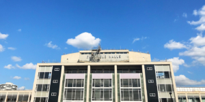 Croydonist review of 2019