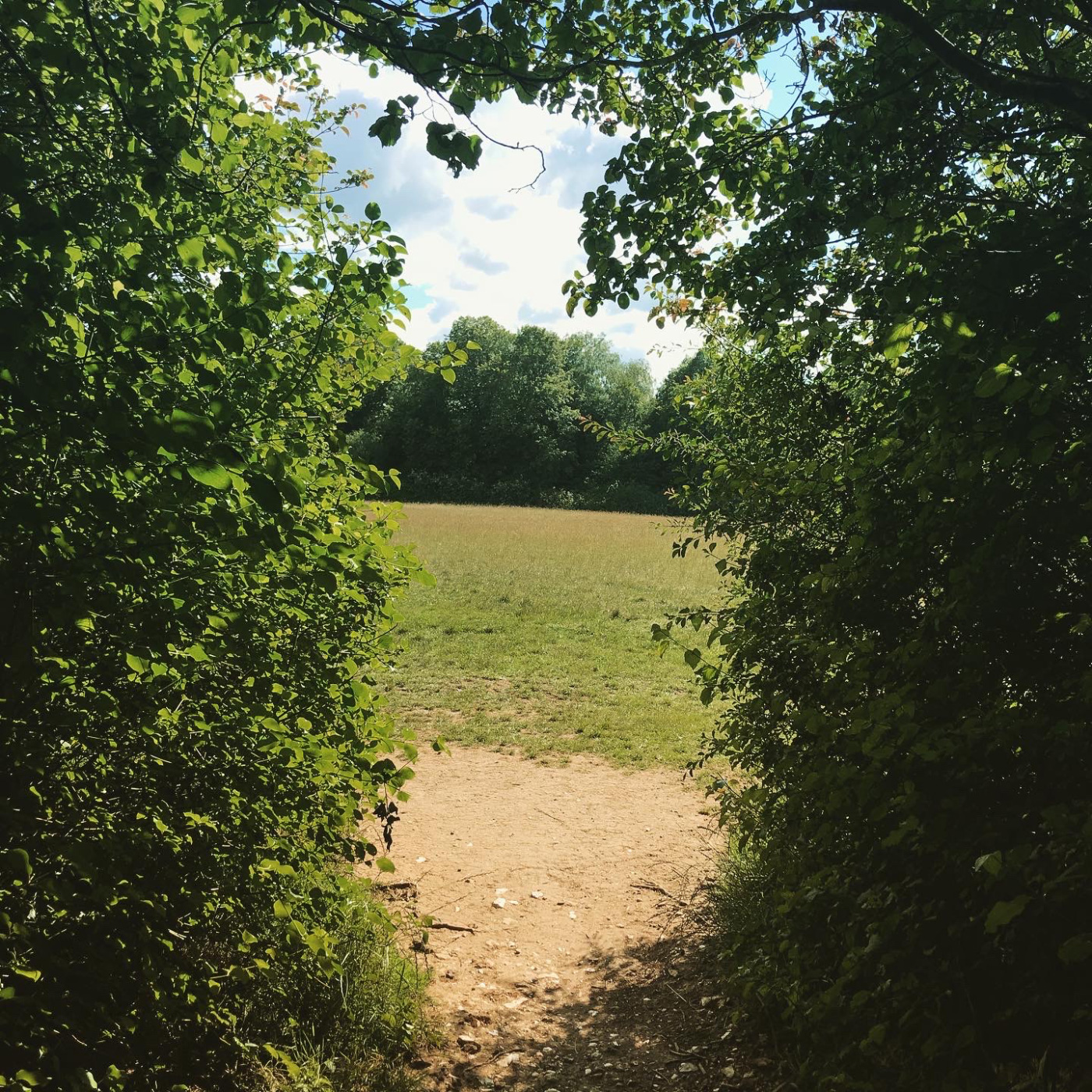 Selsdon Wood Nature Reserve