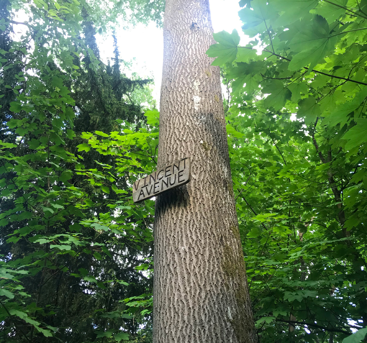 Selsdon Wood Nature Reserve