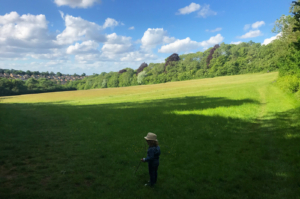 Selsdon Wood Nature Reserve