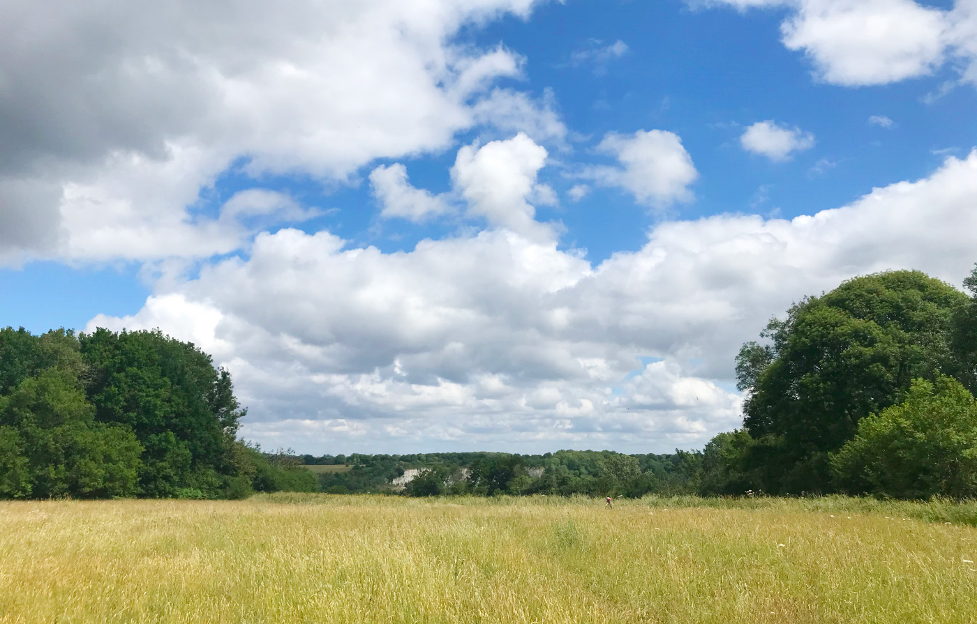 kenley common