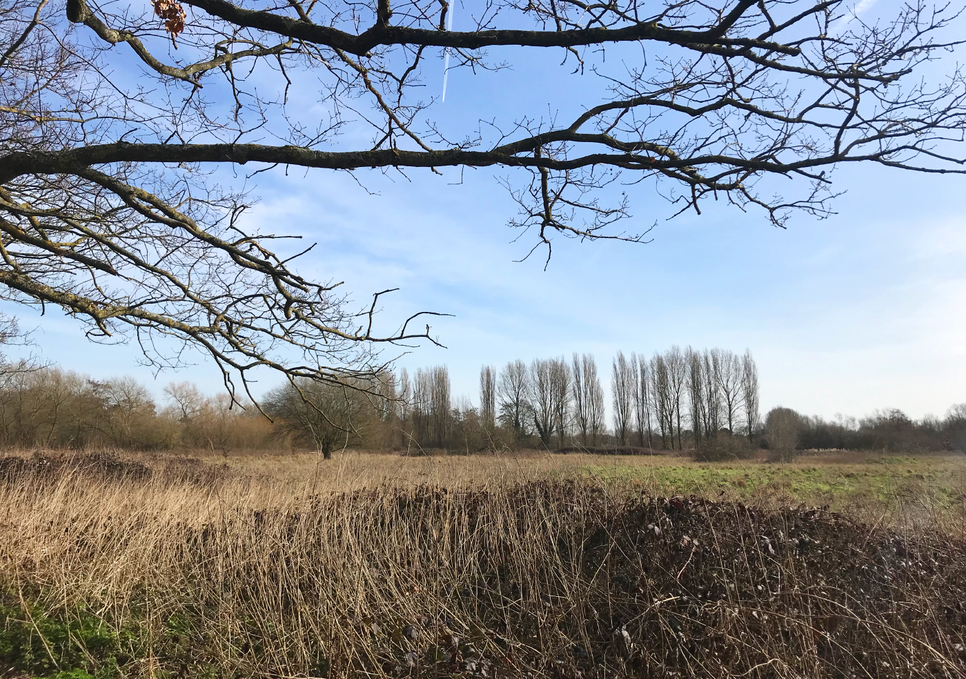 South Norwood Country Park