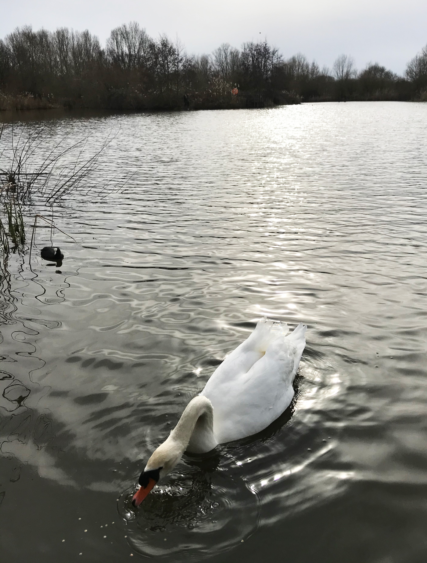 South Norwood Country Park