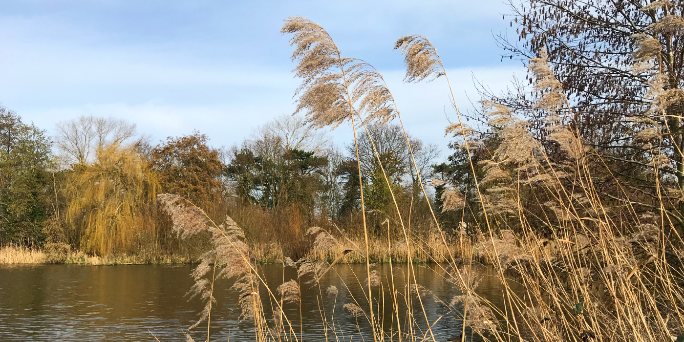 South Norwood Country Park