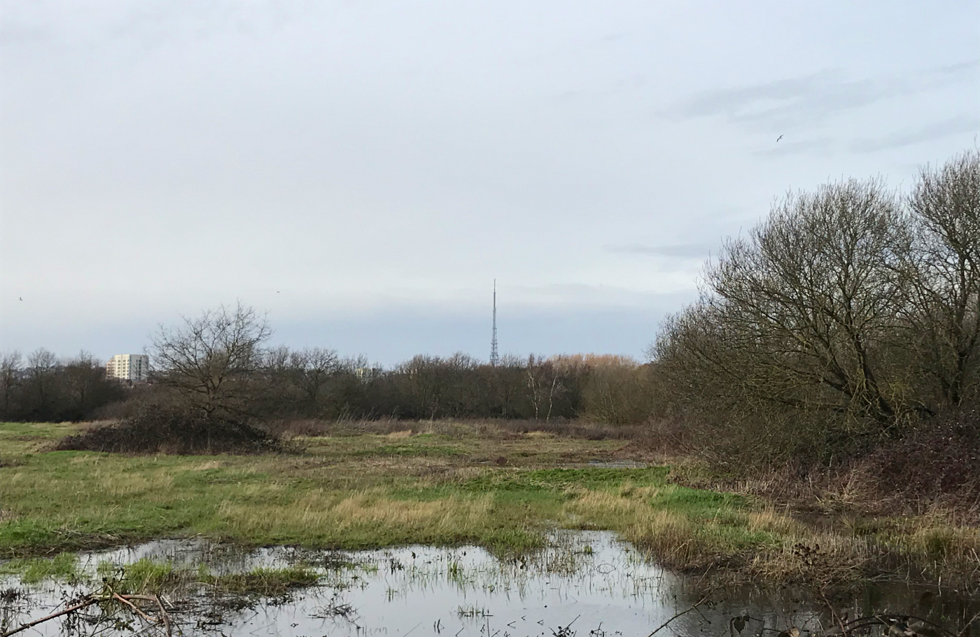 South Norwood Country Park