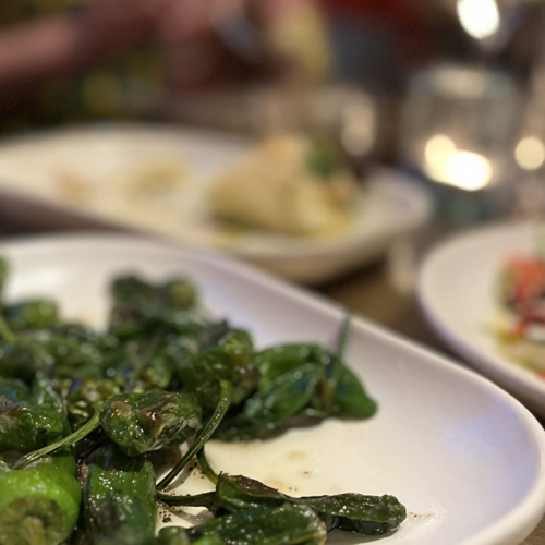 A Fine Fern Feast