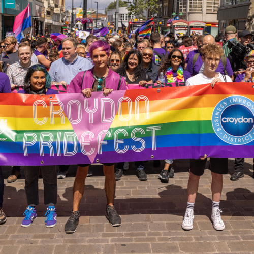 Mini Pride, major party
