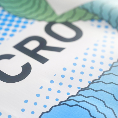 The Ultimate Guide to Cro Cro Land!