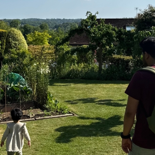 Where gardens give back